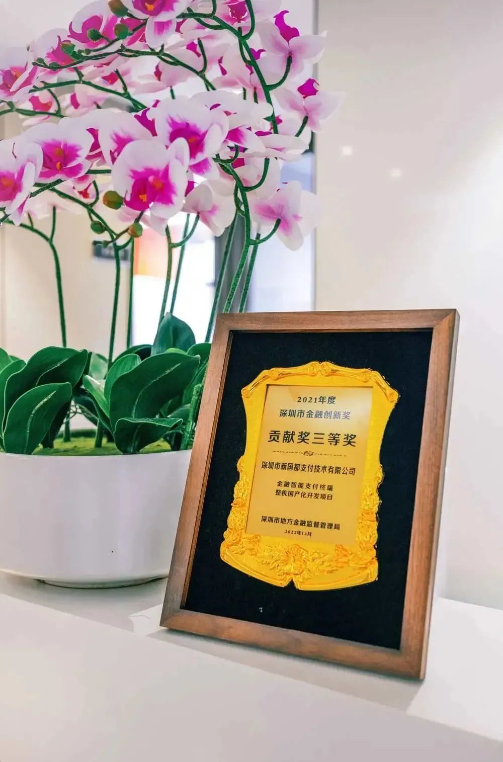 KS凯时·(中国区)官方网站