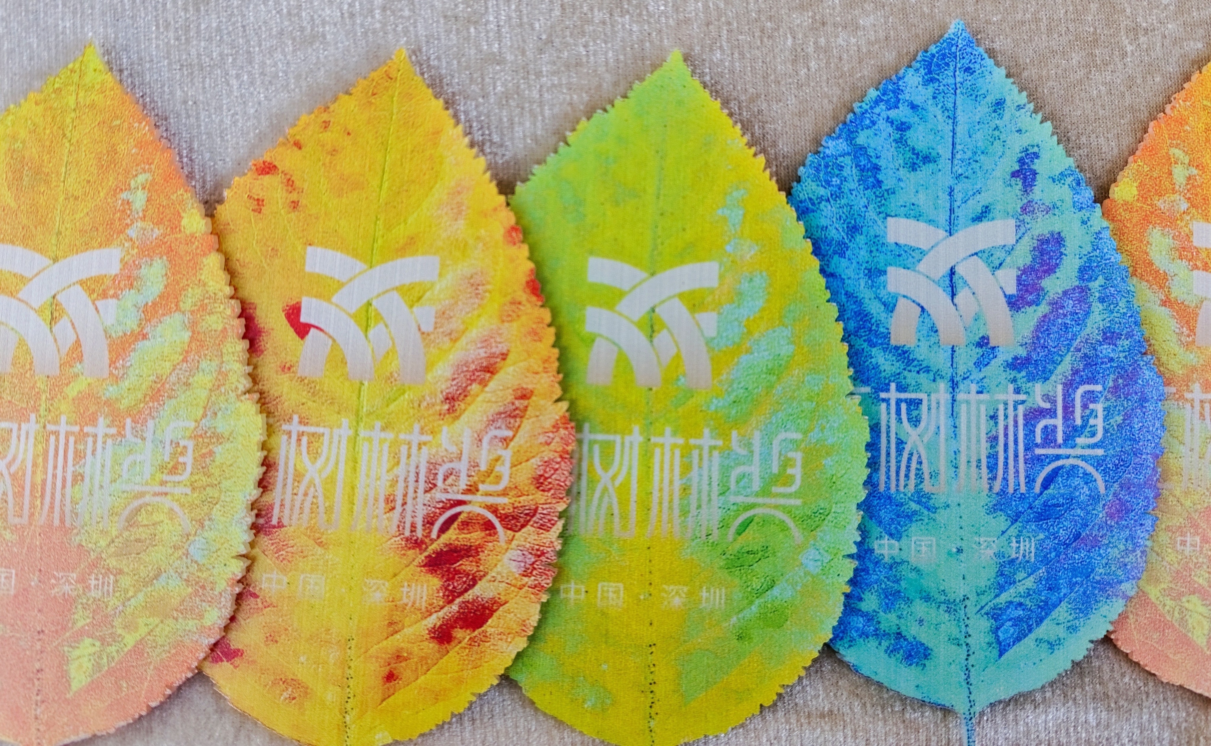 KS凯时·(中国区)官方网站