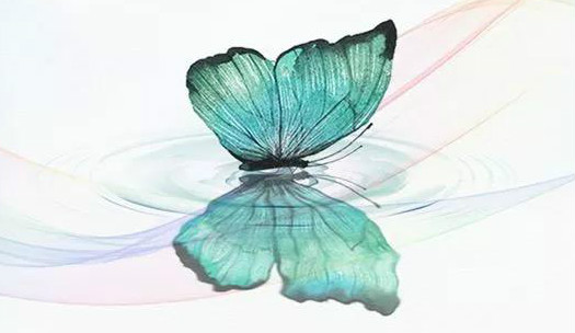 凯时|AG(AsiaGaming)优质运营商