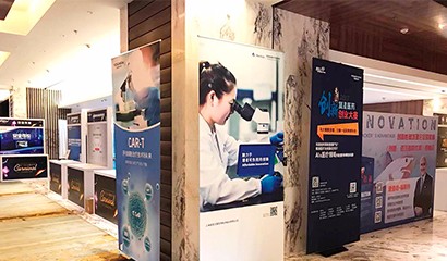 凯时|AG(AsiaGaming)优质运营商