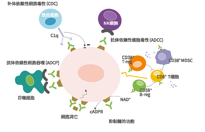 凯时|AG(AsiaGaming)优质运营商