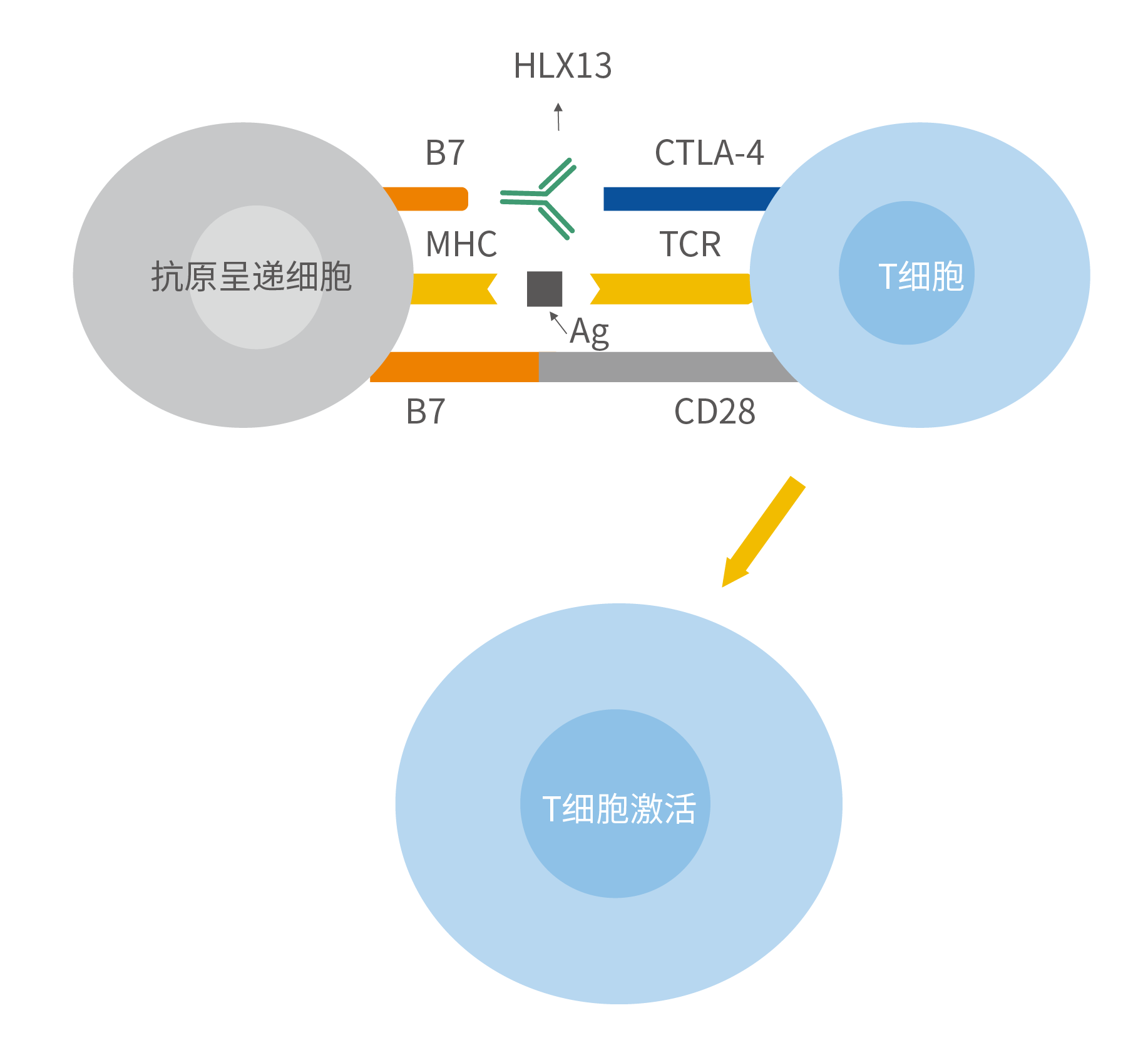 凯时|AG(AsiaGaming)优质运营商